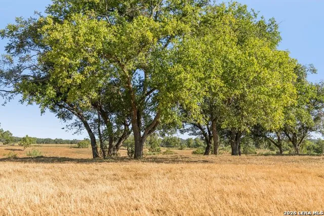 440 CHIMNEY VALLEY DR Blanco, TX 78606