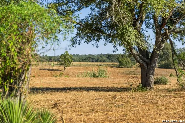 440 CHIMNEY VALLEY DR Blanco, TX 78606