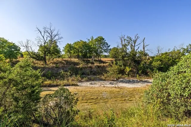 440 CHIMNEY VALLEY DR Blanco, TX 78606