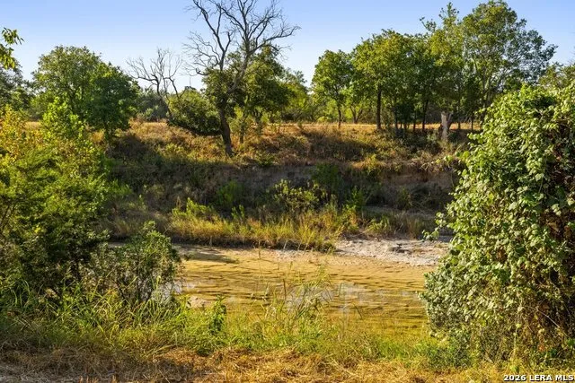 440 CHIMNEY VALLEY DR Blanco, TX 78606