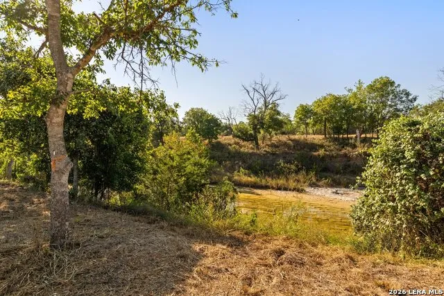 440 CHIMNEY VALLEY DR Blanco, TX 78606