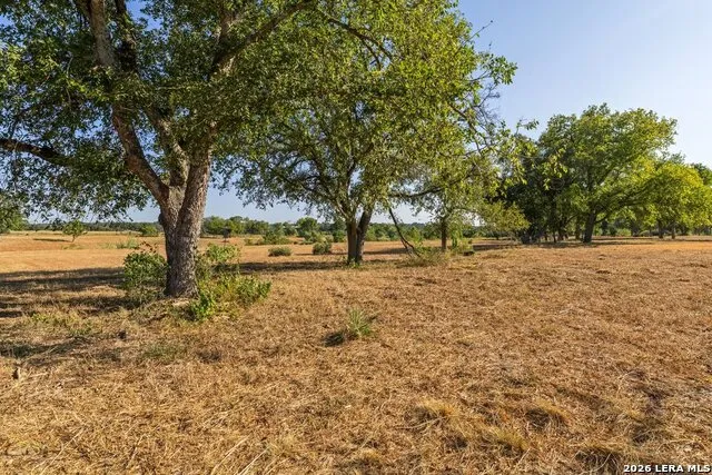 440 CHIMNEY VALLEY DR Blanco, TX 78606