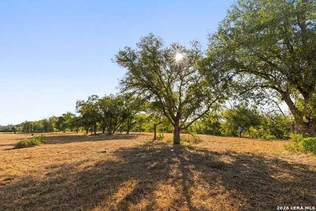 440 CHIMNEY VALLEY DR Blanco, TX 78606