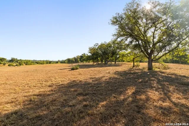 440 CHIMNEY VALLEY DR Blanco, TX 78606