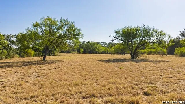 440 CHIMNEY VALLEY DR Blanco, TX 78606