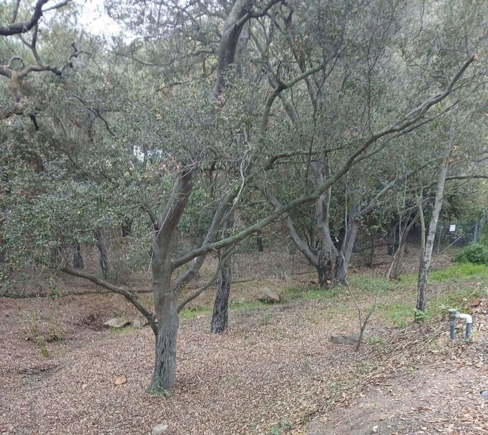 4747 Oak Crest Road #87 Fallbrook, CA 92028