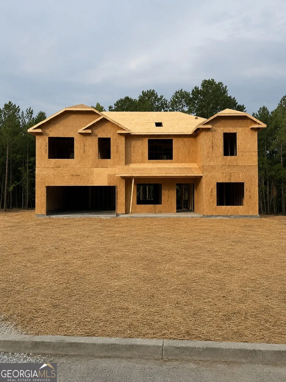 1655 Norris Landing DR Snellville, GA 30039