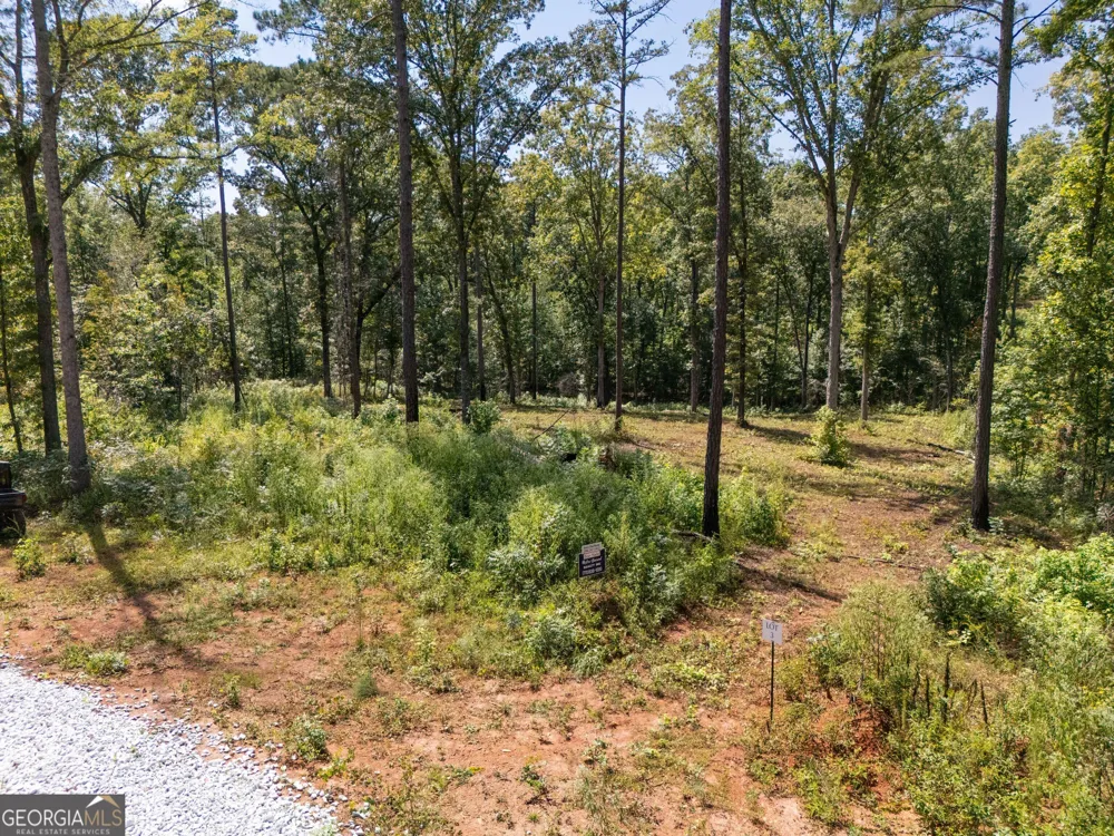 0 Hwy 100 Franklin, GA 30217
