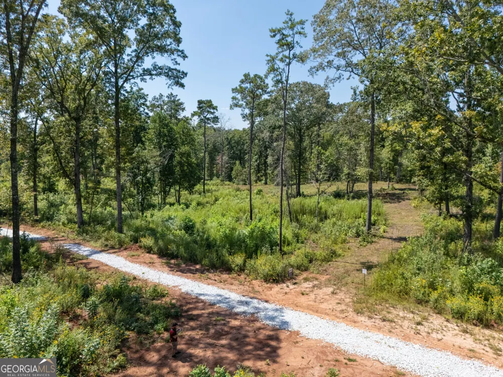 0 Hwy 100 Franklin, GA 30217