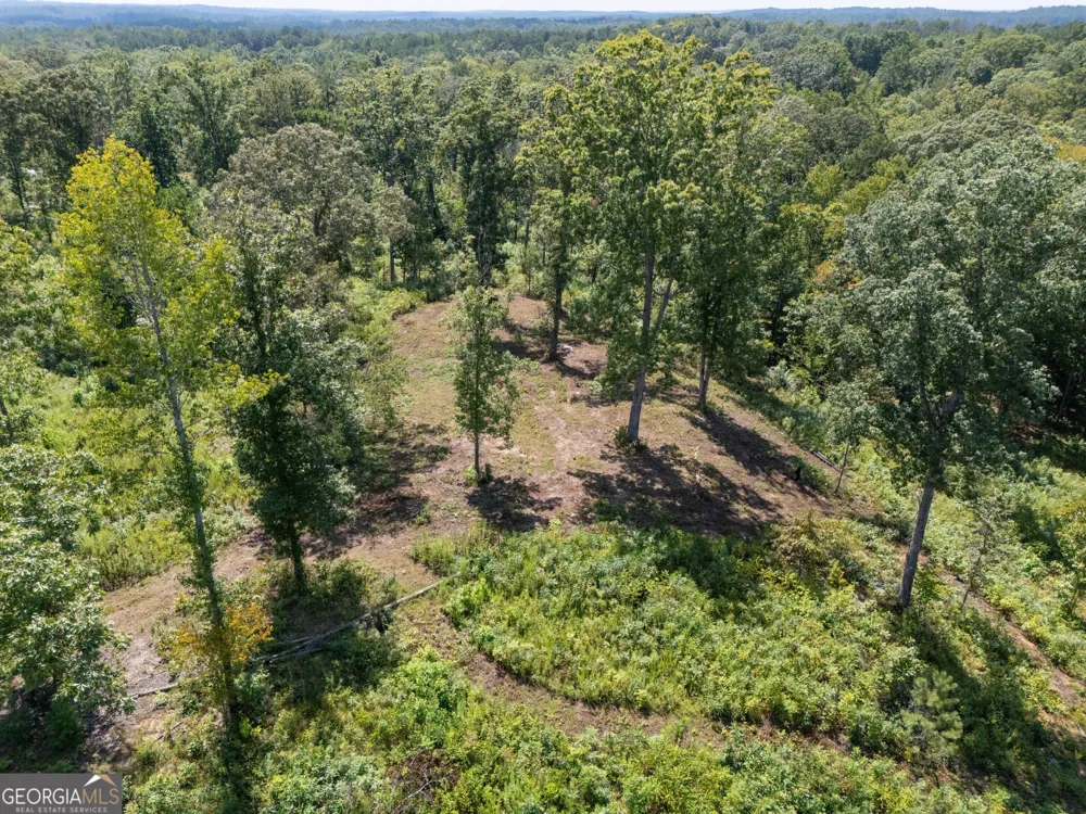 0 Hwy 100 Franklin, GA 30217