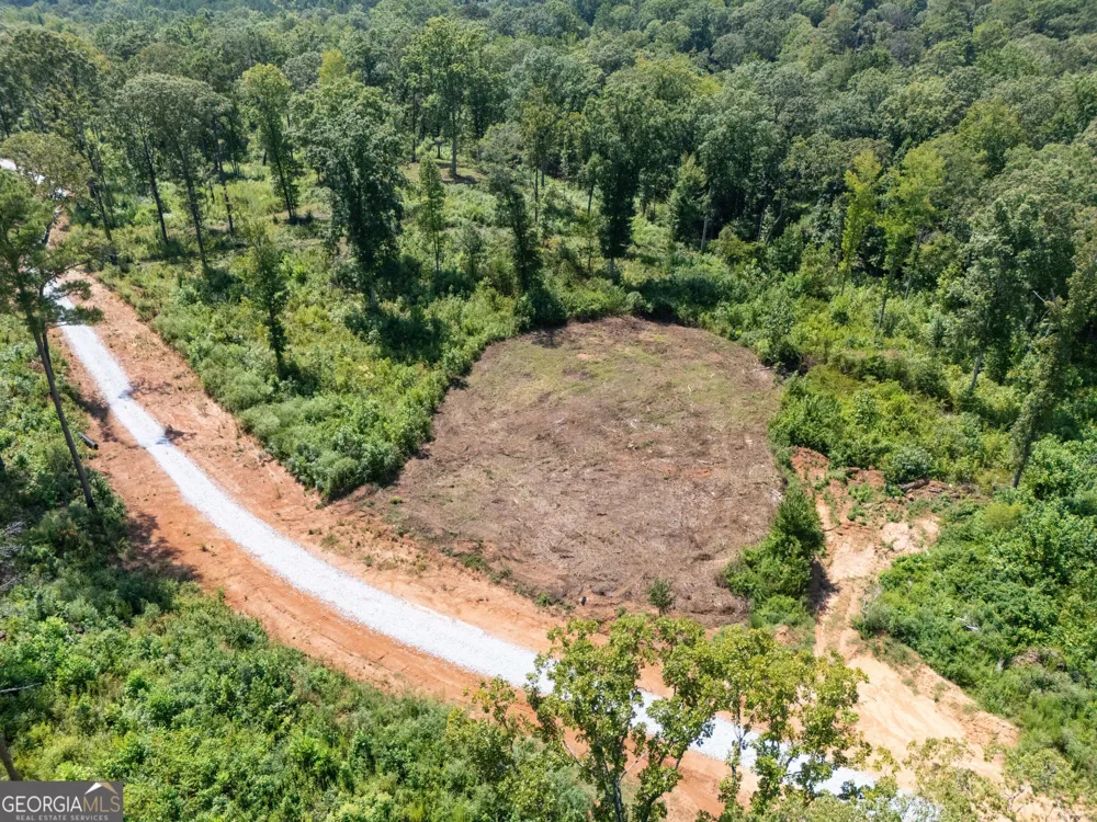 0 Hwy 100 Franklin, GA 30217