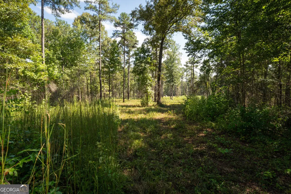 0 Hwy 100 Franklin, GA 30217