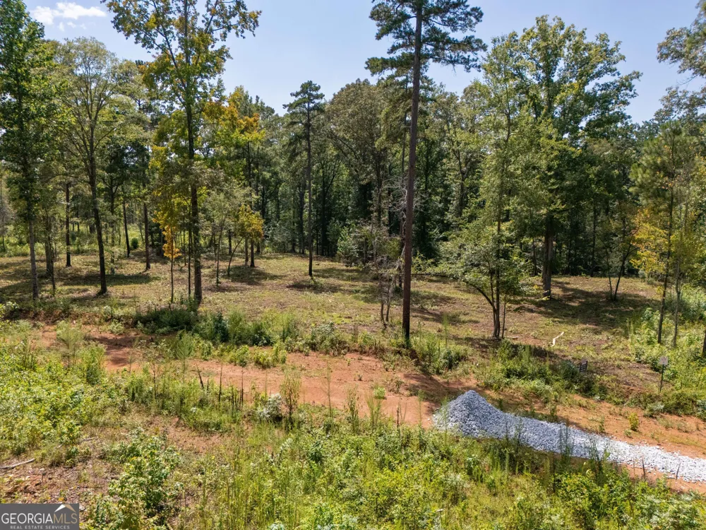 0 Hwy 100 Franklin, GA 30217