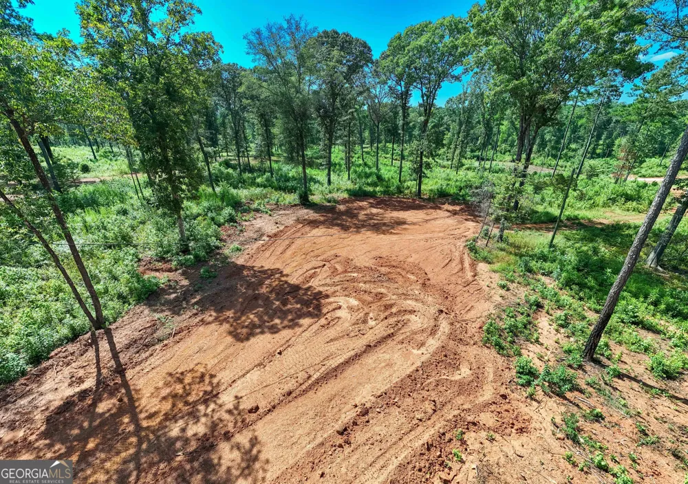 0 Hwy 100 Franklin, GA 30217