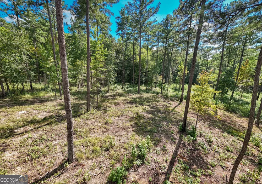 0 Hwy 100 Franklin, GA 30217