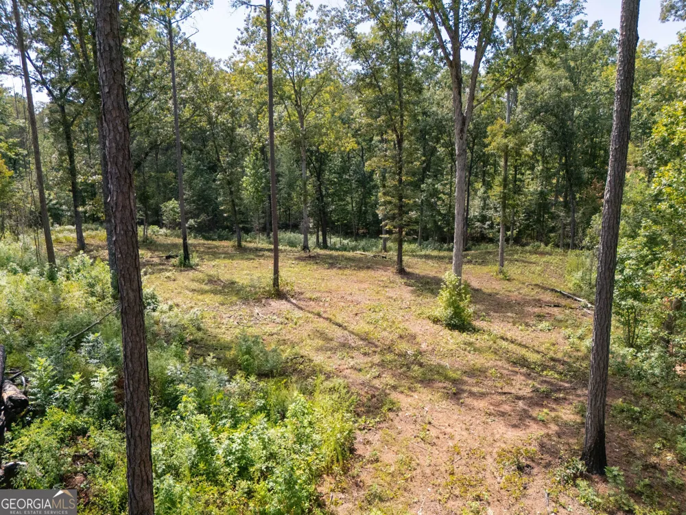 0 Hwy 100 Franklin, GA 30217