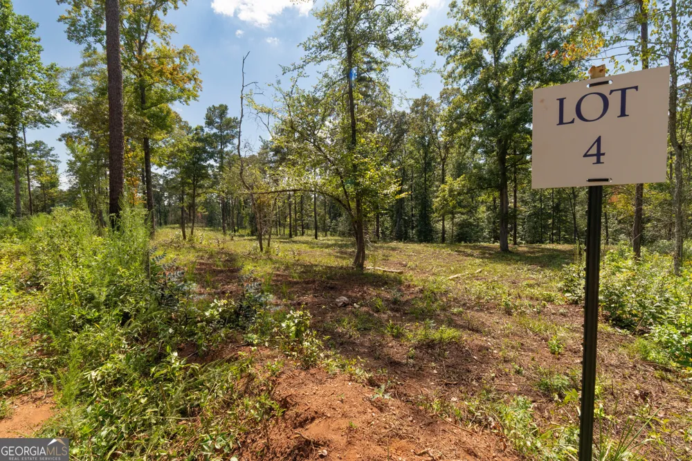 0 Hwy 100 Franklin, GA 30217