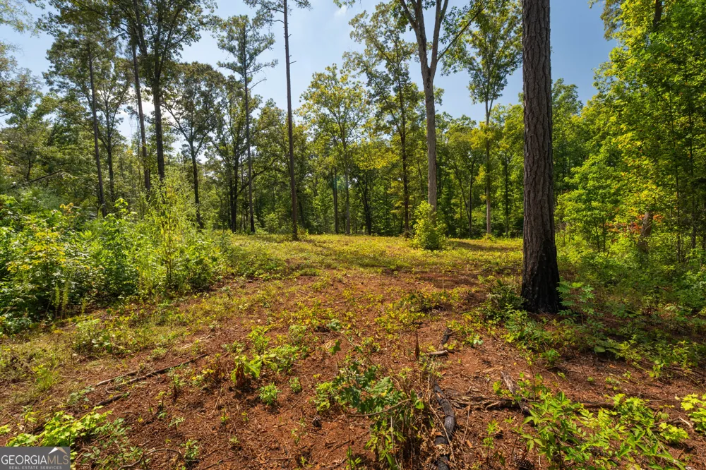 0 Hwy 100 Franklin, GA 30217