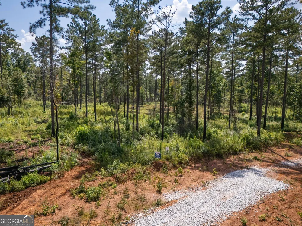 0 Hwy 100 Franklin, GA 30217