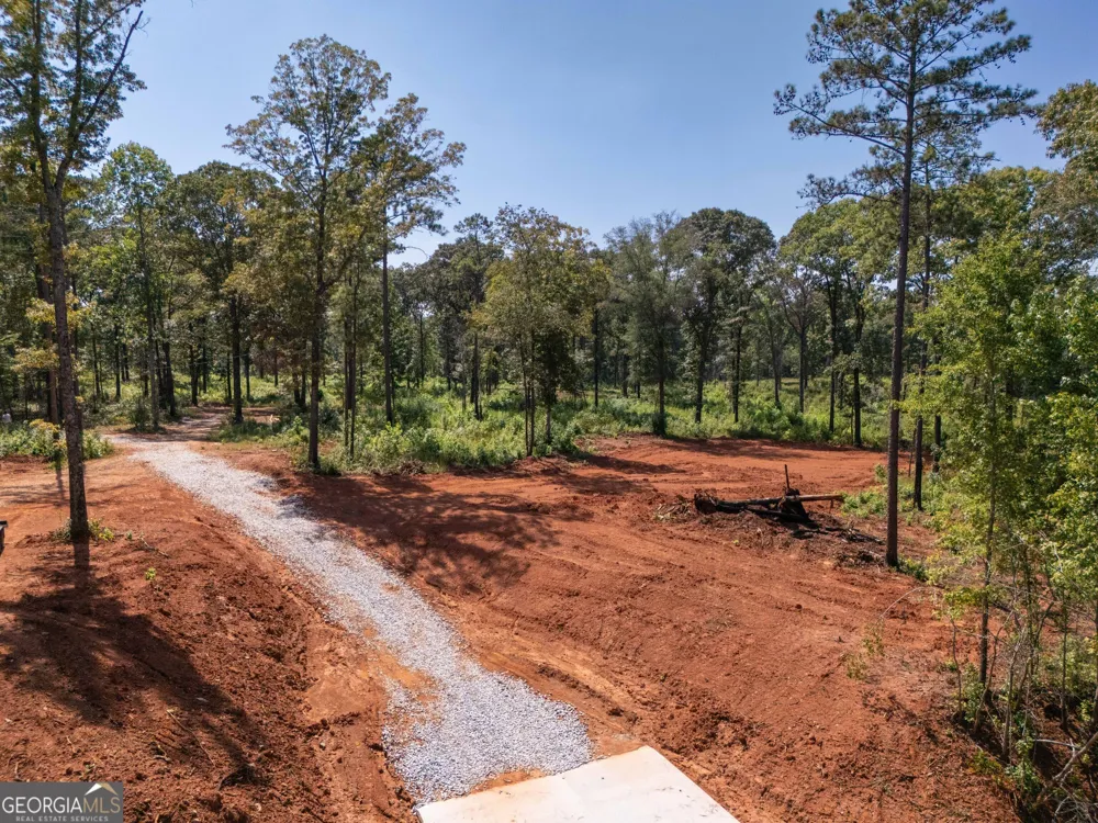 0 Hwy 100 Franklin, GA 30217