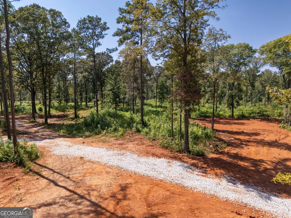 0 Hwy 100 Franklin, GA 30217