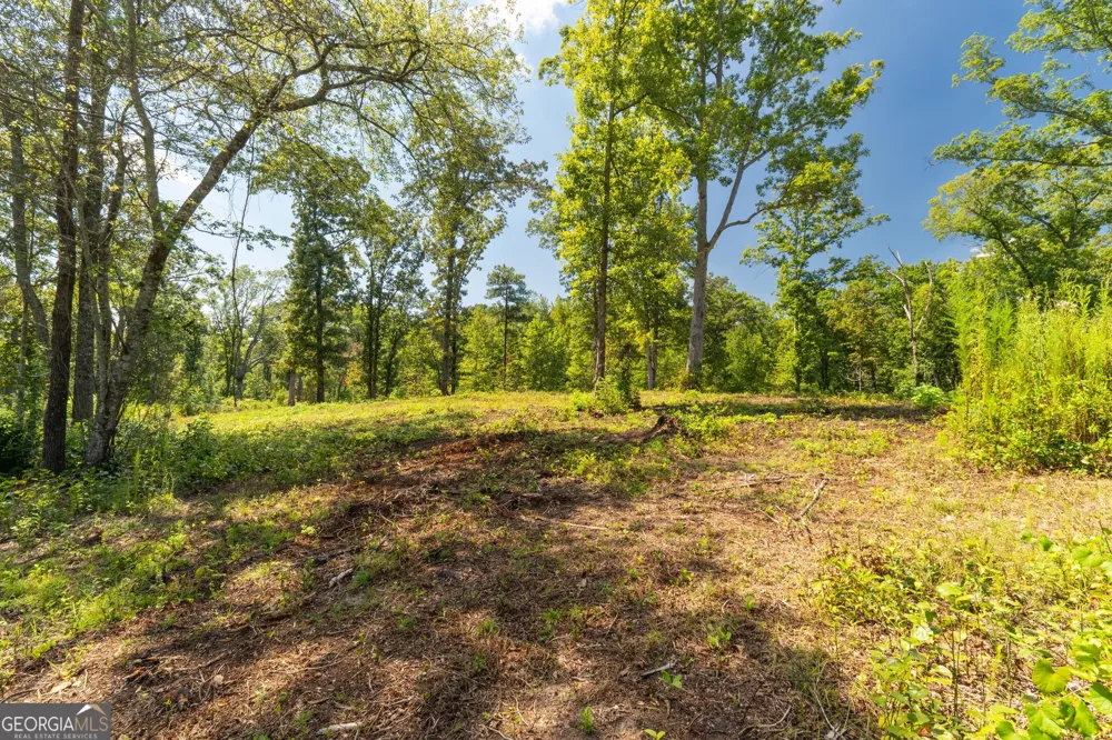 0 Hwy 100 Franklin, GA 30217