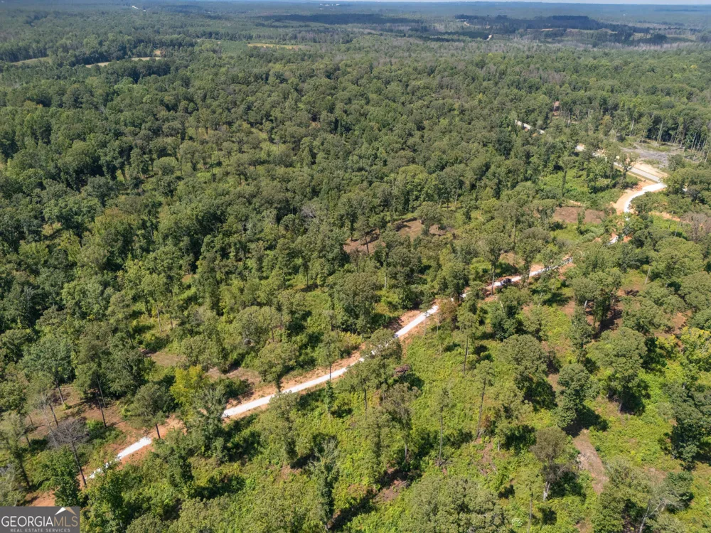 0 Hwy 100 Franklin, GA 30217