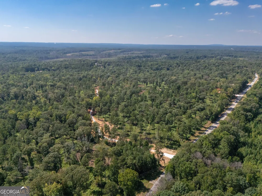 0 Hwy 100 Franklin, GA 30217