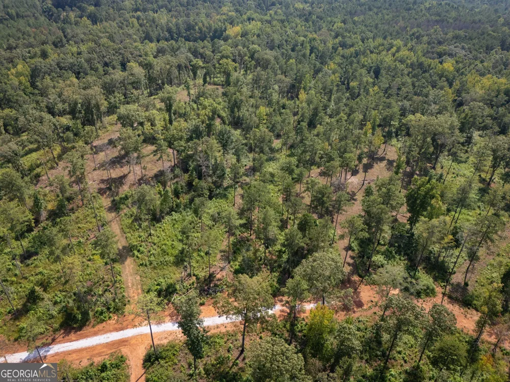 0 Hwy 100 Franklin, GA 30217