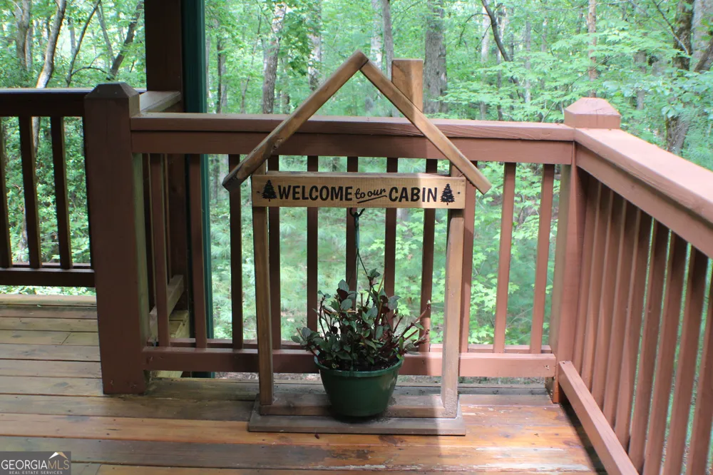 90 Pine Tree DR Blue Ridge, GA 30513