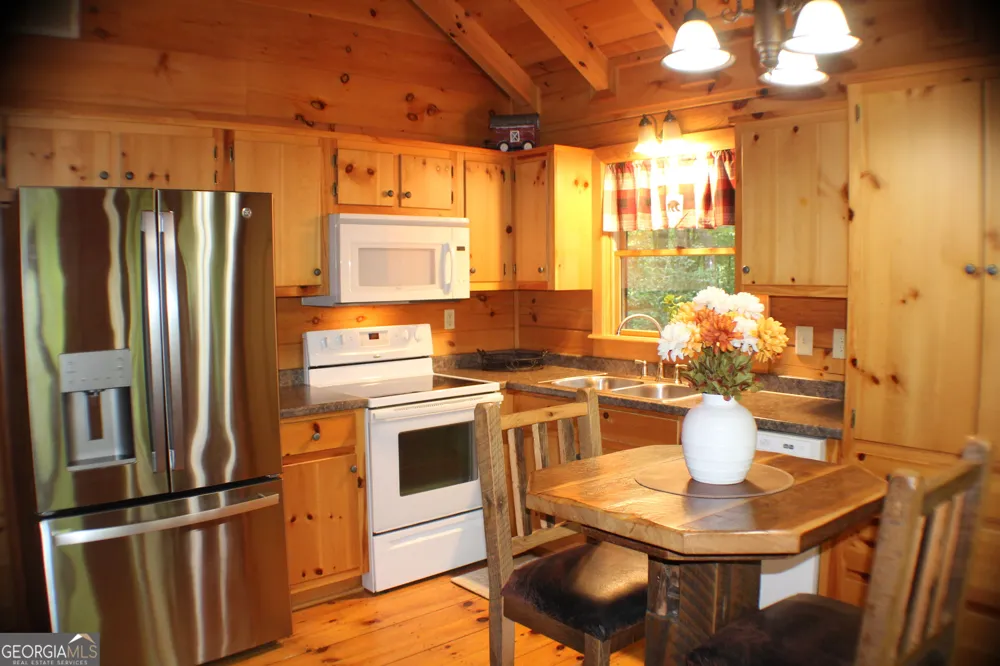 90 Pine Tree DR Blue Ridge, GA 30513