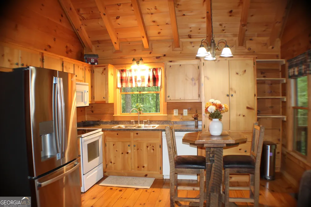 90 Pine Tree DR Blue Ridge, GA 30513