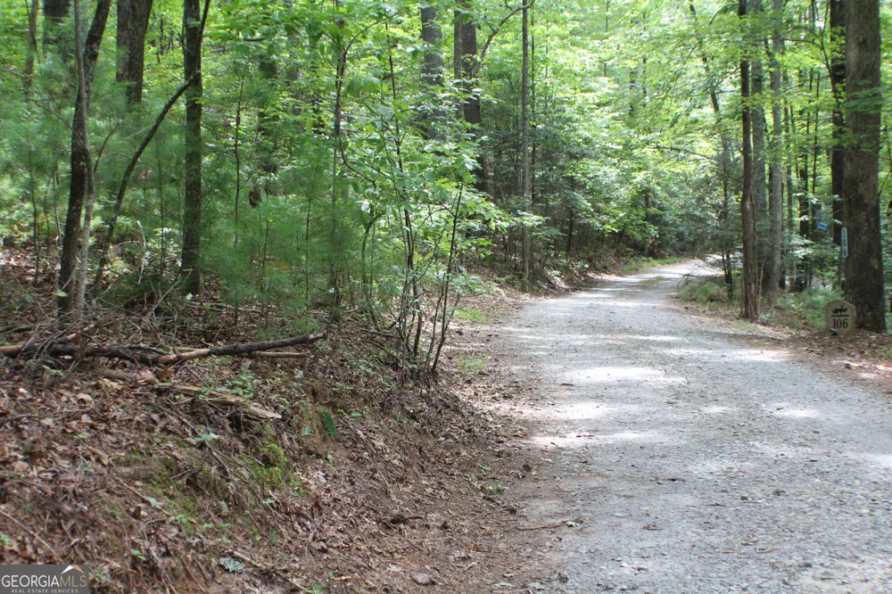 90 Pine Tree DR Blue Ridge, GA 30513