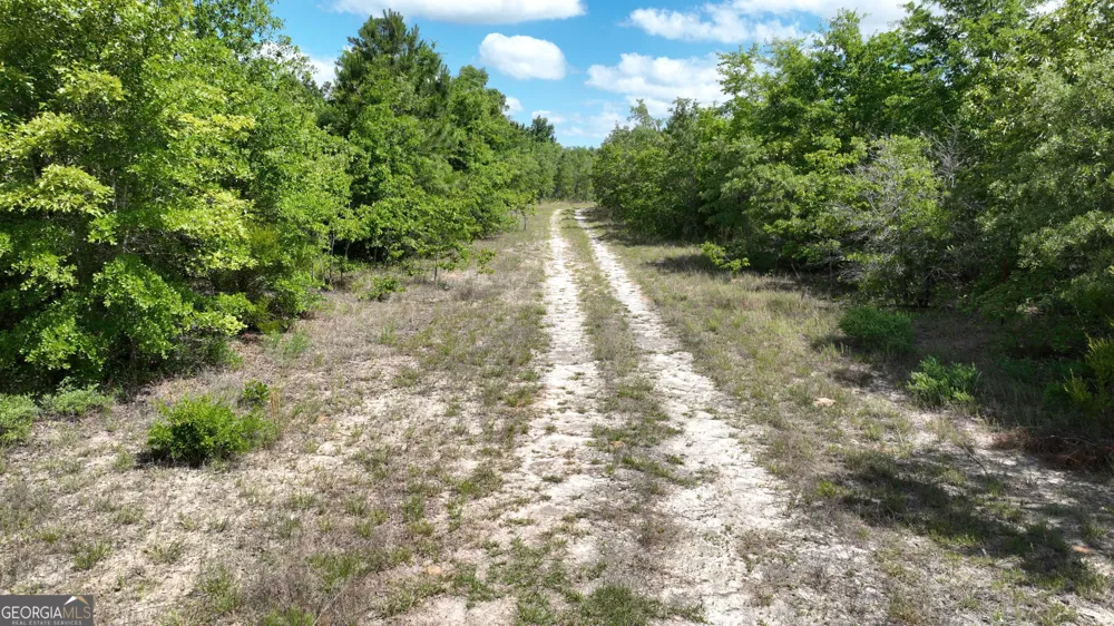 0 Clarks Mill Road Avera, GA 30803