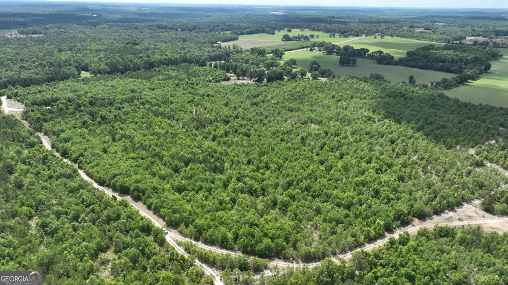 0 Clarks Mill Road Avera, GA 30803
