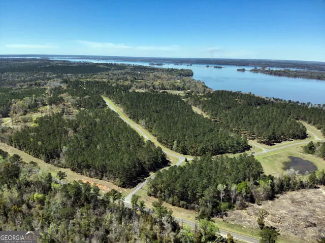 TBD LOT 98 Seminole Ridge Bainbridge, GA 39819