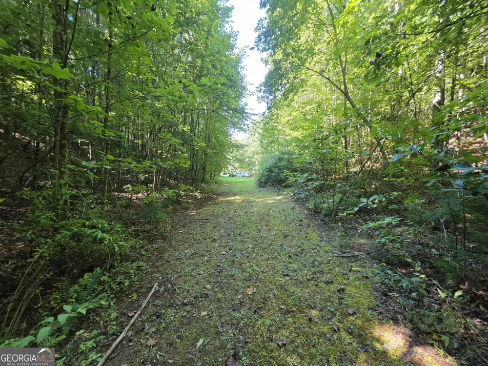34.98 Hall RD Turtletown, TN 37391