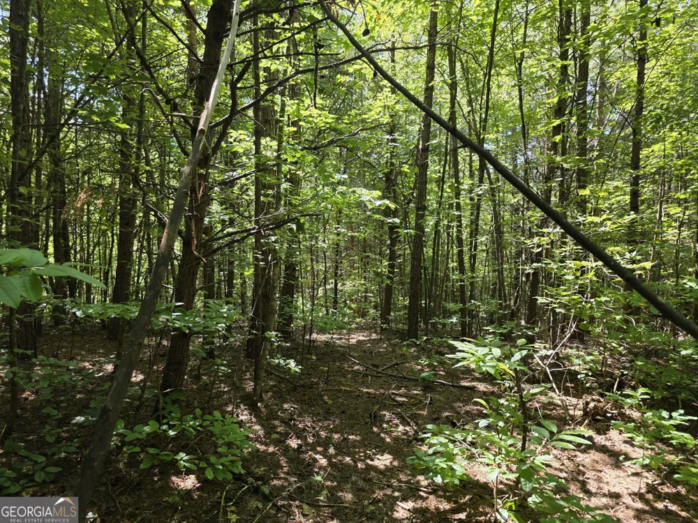 34.98 Hall RD Turtletown, TN 37391