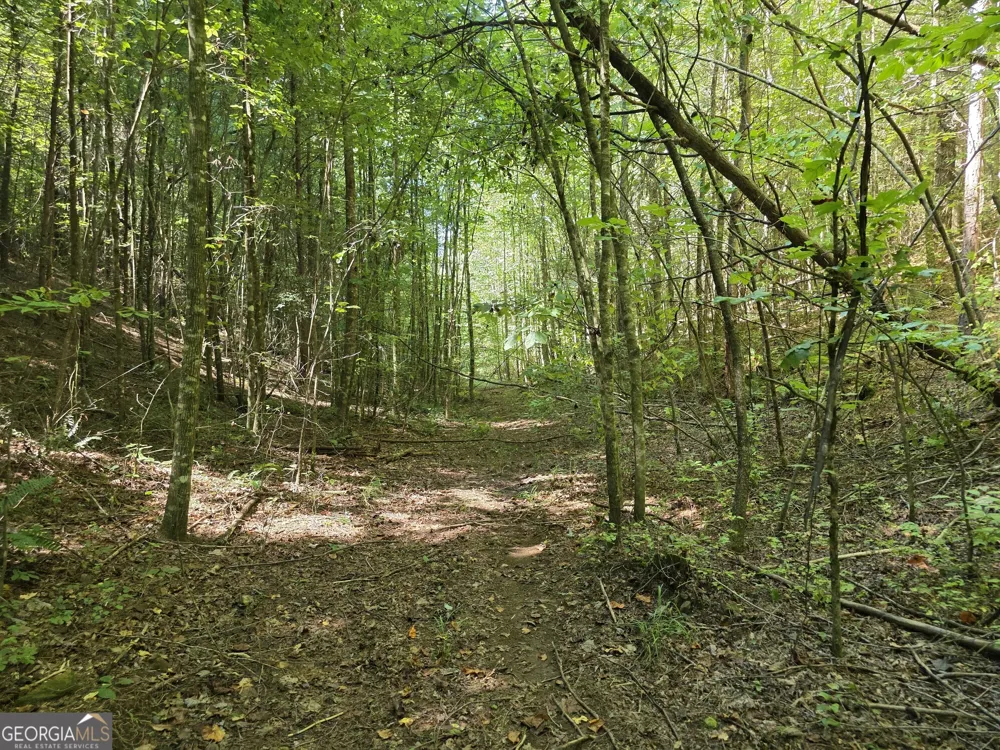 34.98 Hall RD Turtletown, TN 37391