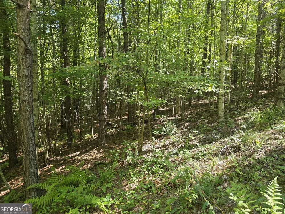 34.98 Hall RD Turtletown, TN 37391