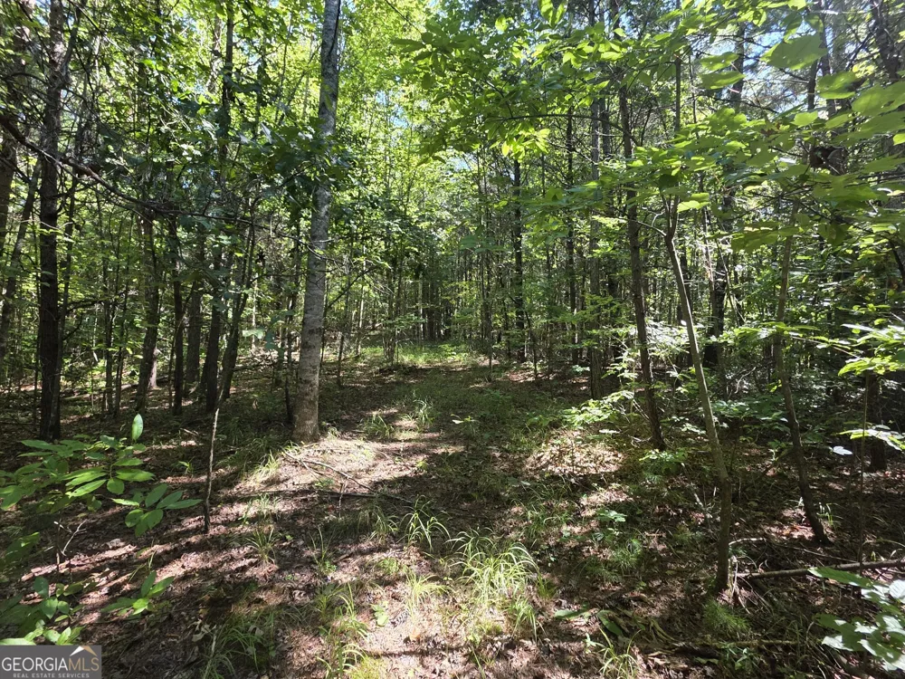 34.98 Hall RD Turtletown, TN 37391
