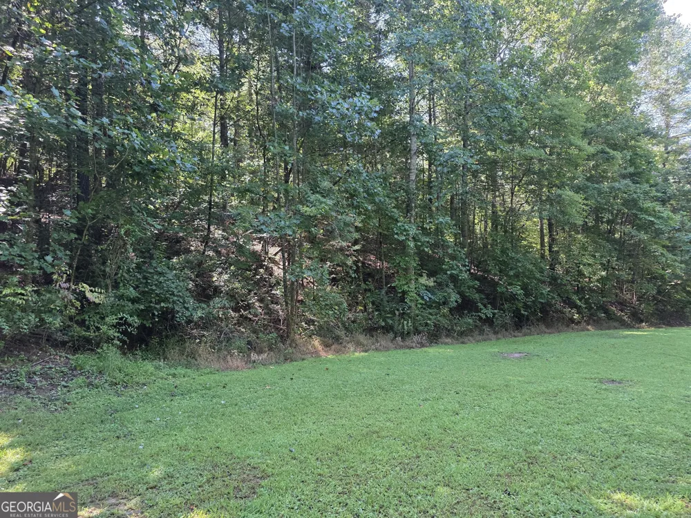 34.98 Hall RD Turtletown, TN 37391