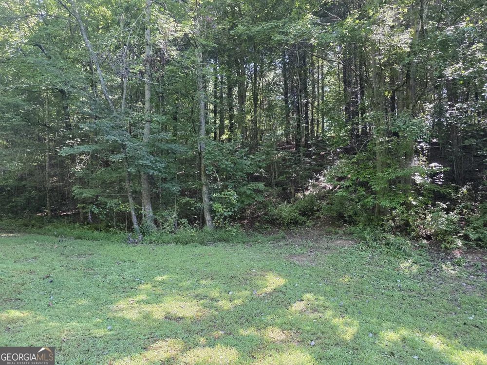 34.98 Hall RD Turtletown, TN 37391