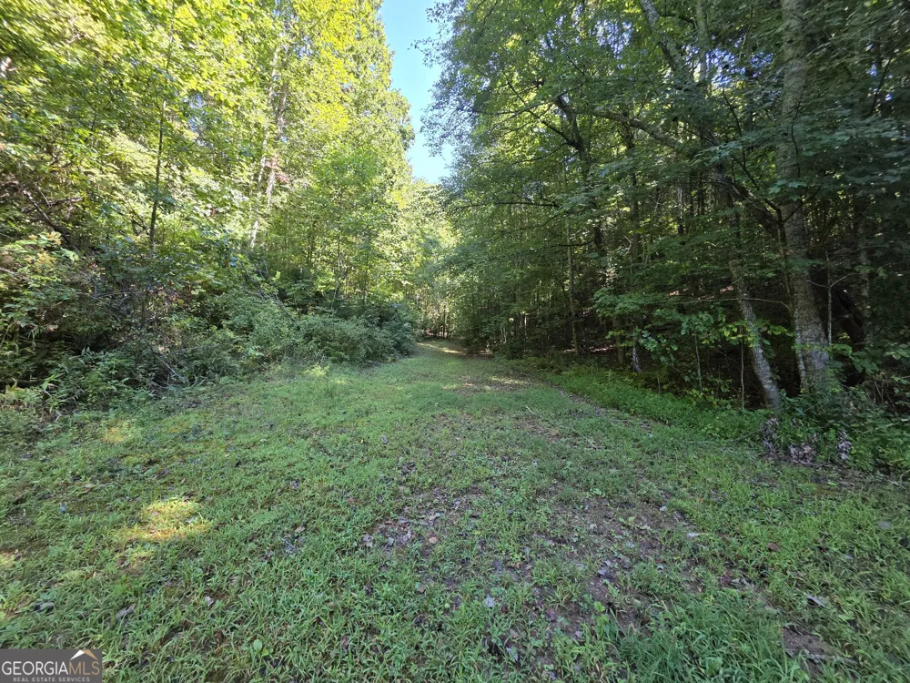 34.98 Hall RD Turtletown, TN 37391