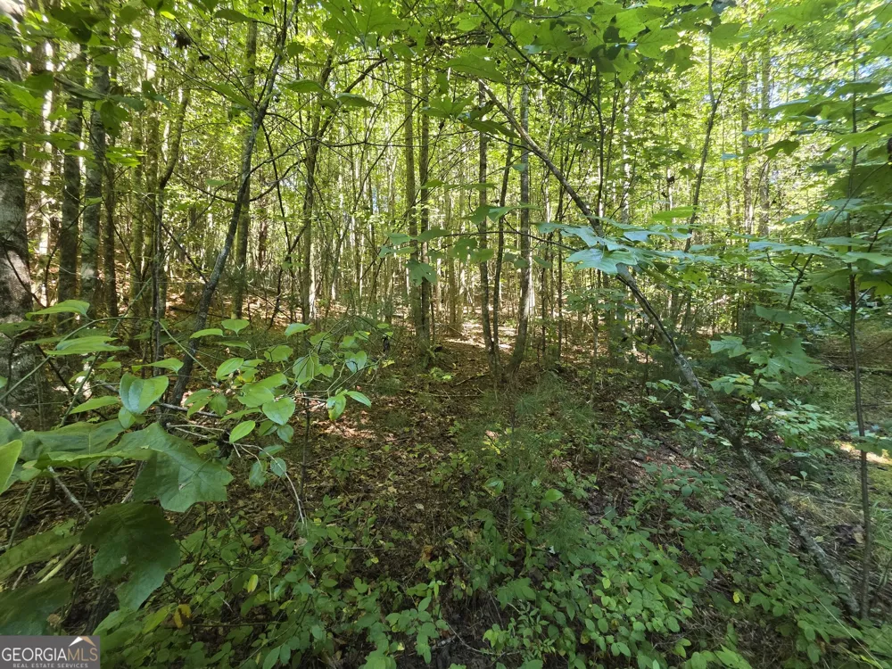 34.98 Hall RD Turtletown, TN 37391