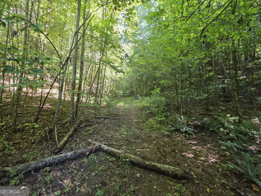 34.98 Hall RD Turtletown, TN 37391