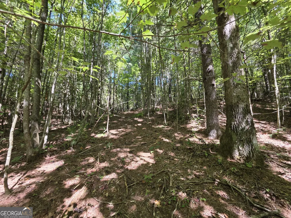 34.98 Hall RD Turtletown, TN 37391