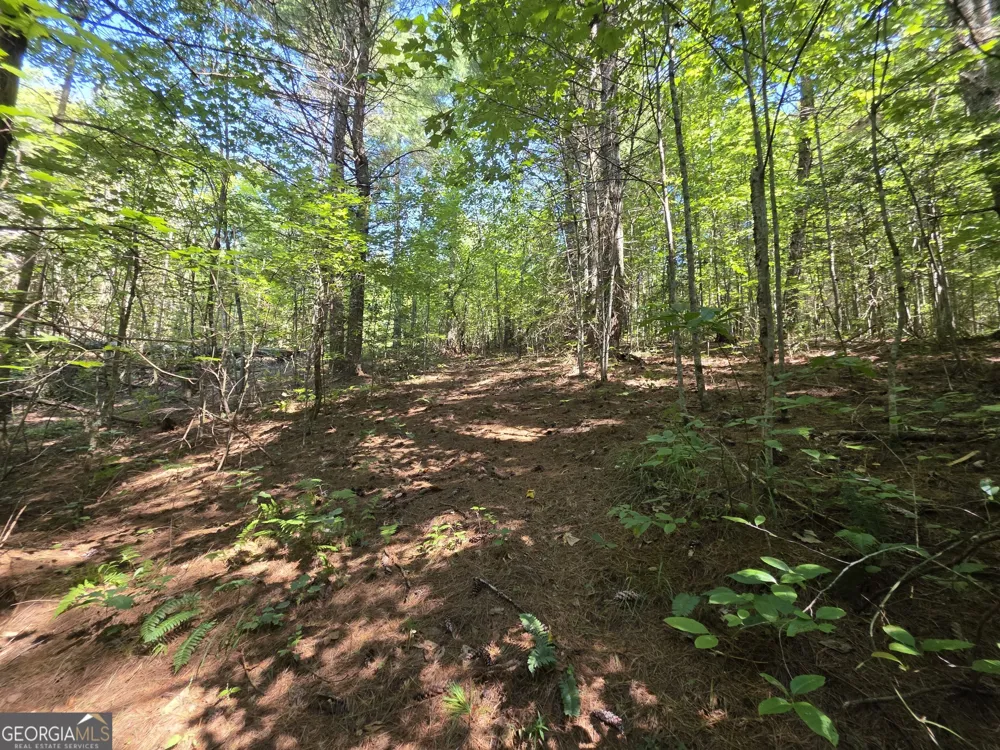 34.98 Hall RD Turtletown, TN 37391