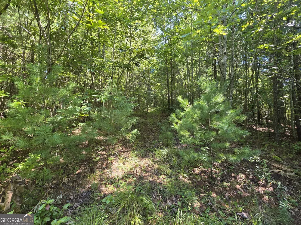 34.98 Hall RD Turtletown, TN 37391