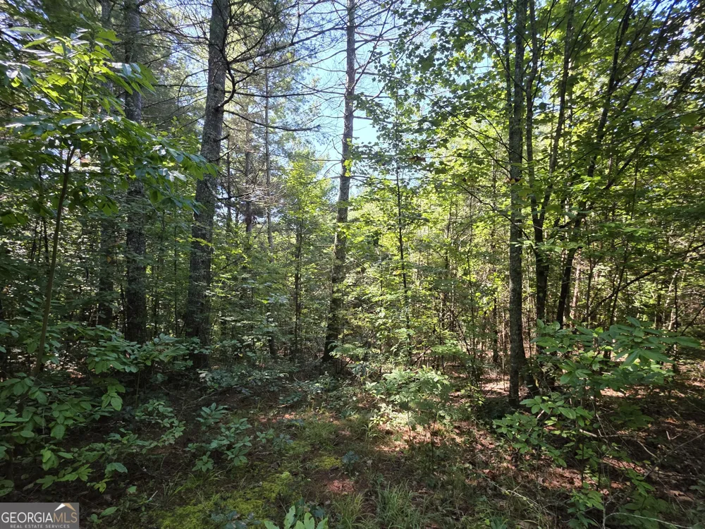 34.98 Hall RD Turtletown, TN 37391